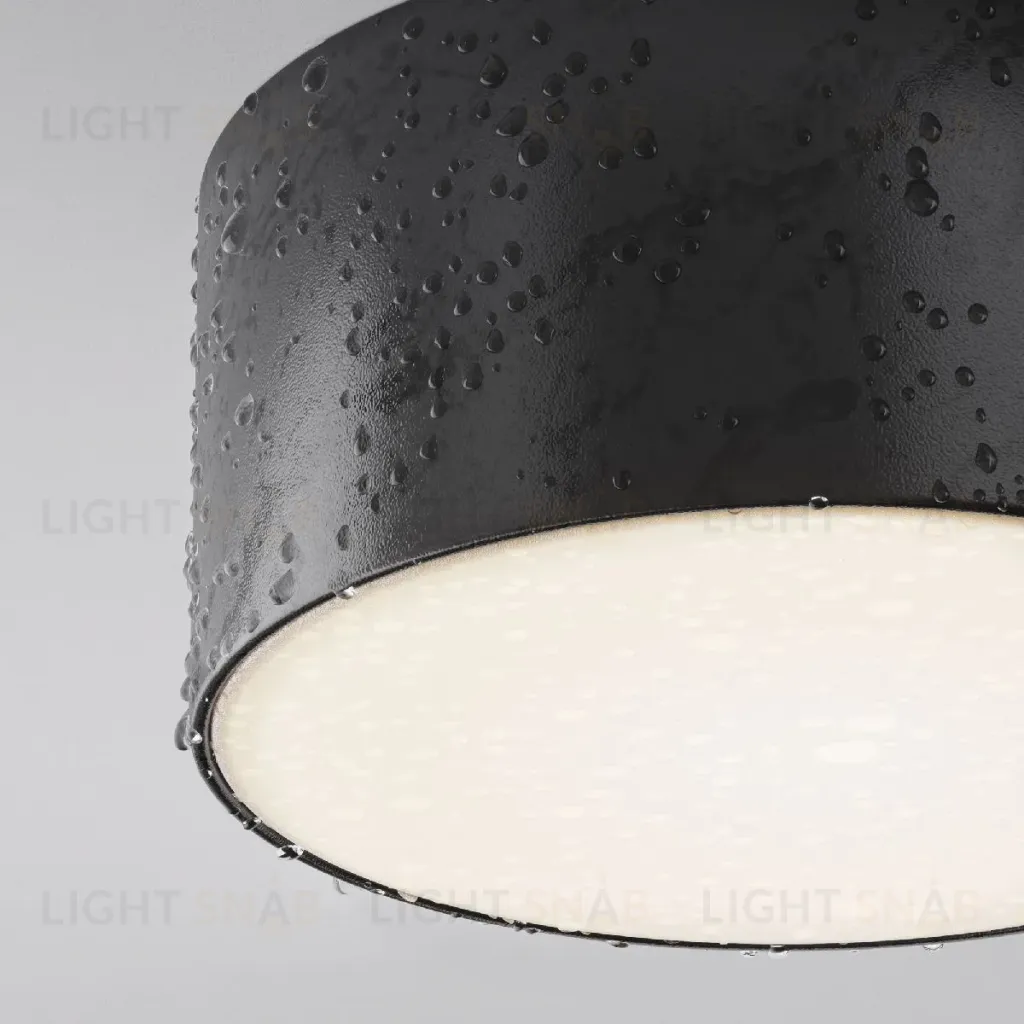 Уличный потолочный светильник Maytoni Zon IP O430CL-L15B4K O430CL-L15B4K
