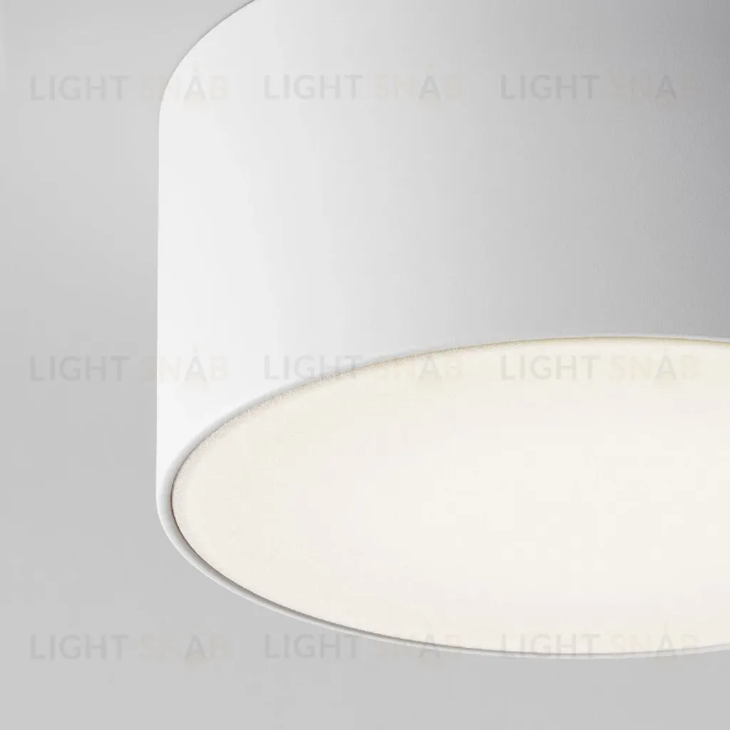 Уличный потолочный светильник Maytoni Zon IP O430CL-L15W4K O430CL-L15W4K