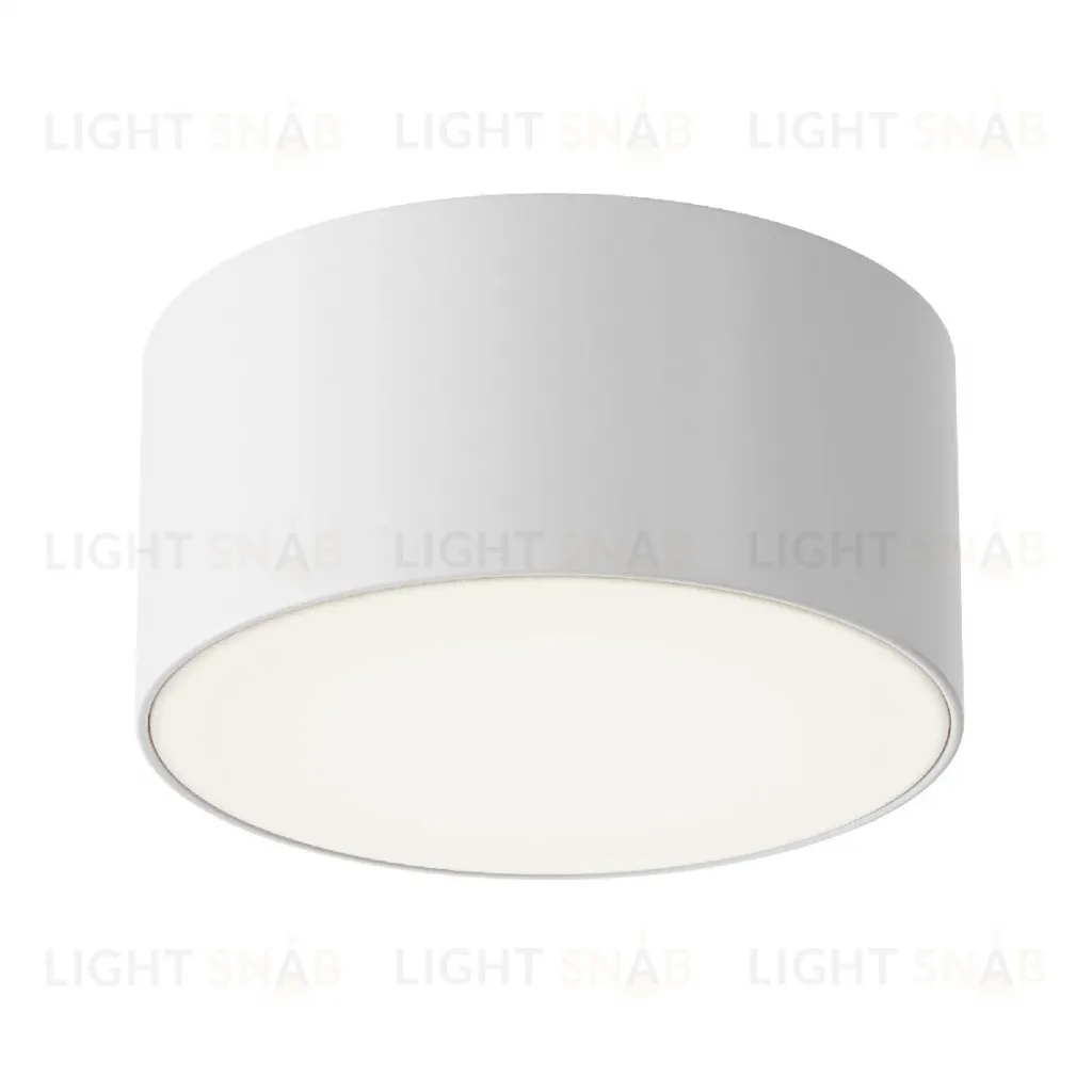 Уличный потолочный светильник Maytoni Zon IP O430CL-L15W4K O430CL-L15W4K