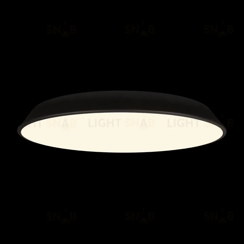 Потолочный светильник Loft IT Brim 10226 Black 10226 Black