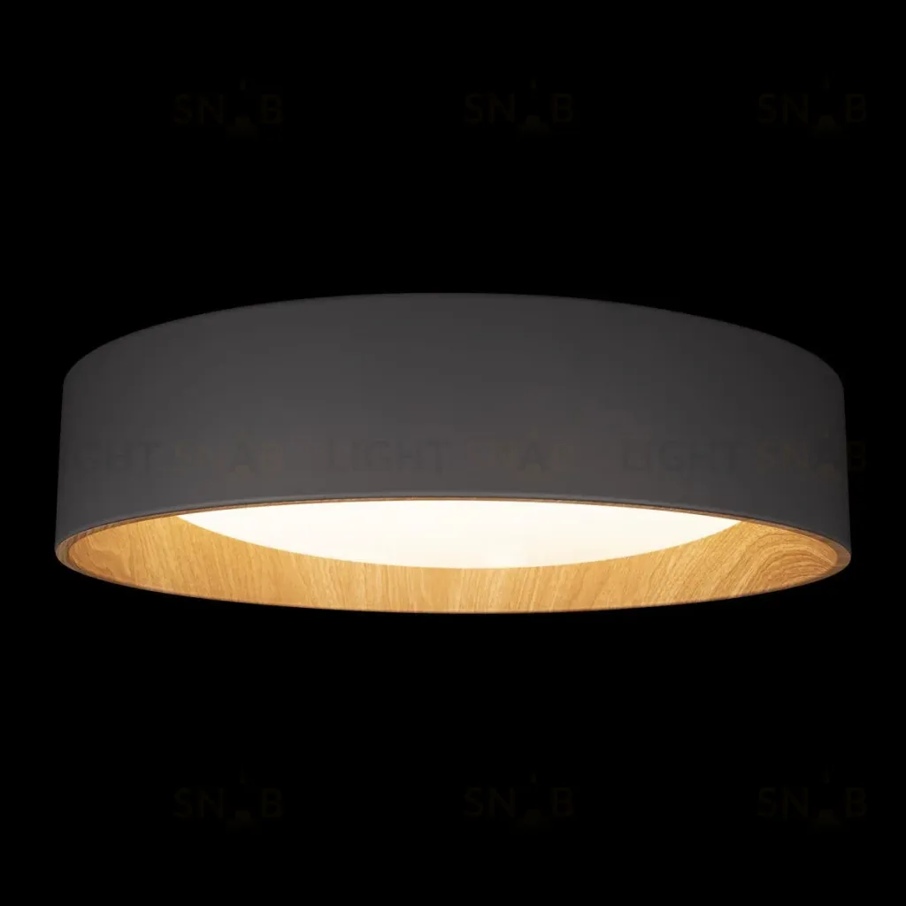 Потолочный светильник Loft IT Coin 10202 Grey 10202 Grey