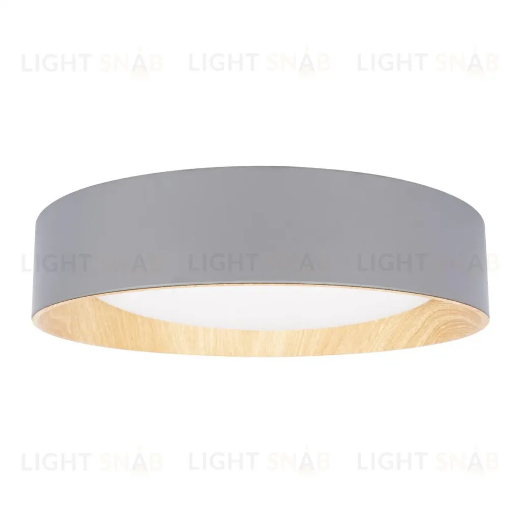 Потолочный светильник Loft IT Coin 10202 Grey 10202 Grey