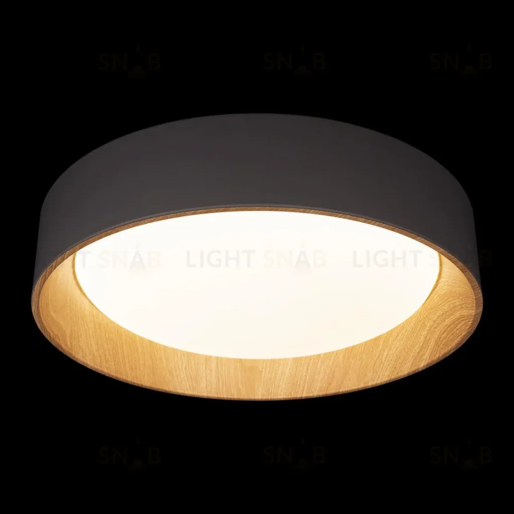 Потолочный светильник Loft IT Coin 10202 Grey 10202 Grey