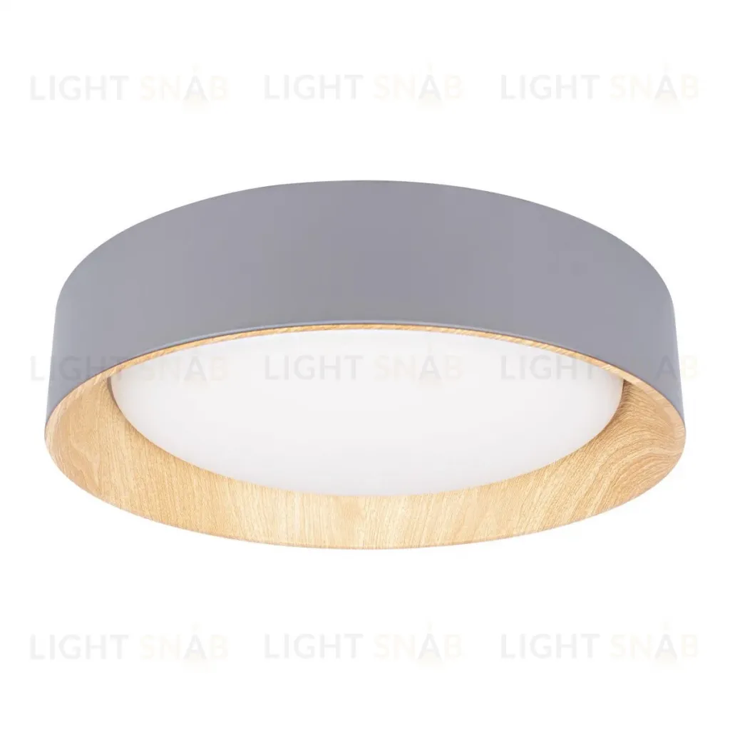 Потолочный светильник Loft IT Coin 10202 Grey 10202 Grey
