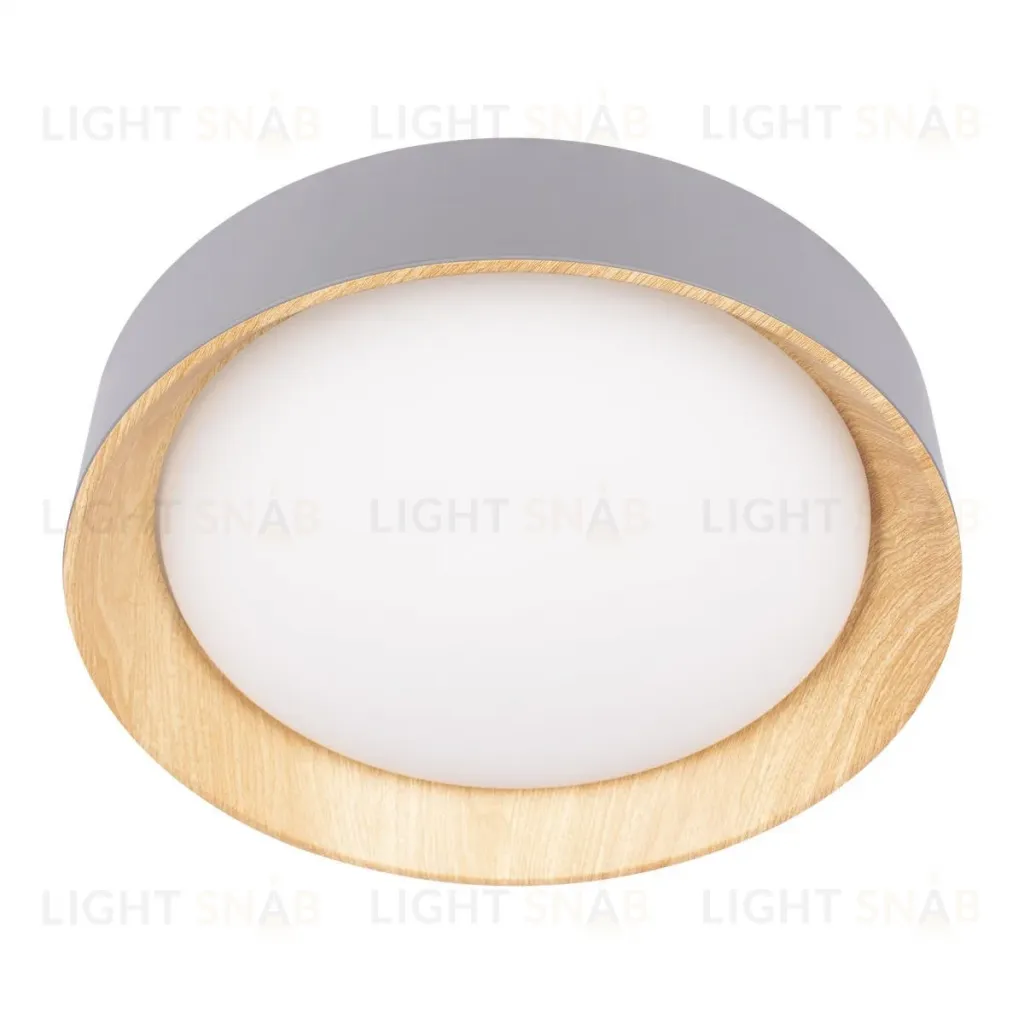 Потолочный светильник Loft IT Coin 10202 Grey 10202 Grey