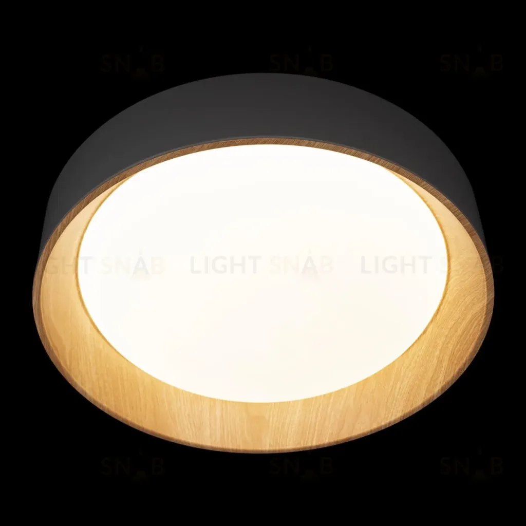 Потолочный светильник Loft IT Coin 10202 Grey 10202 Grey