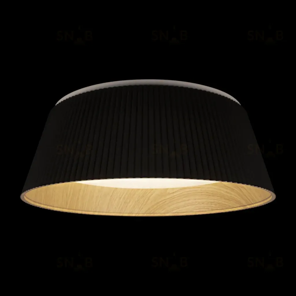 Потолочный светильник Loft IT Evans 10224 Black 10224 Black