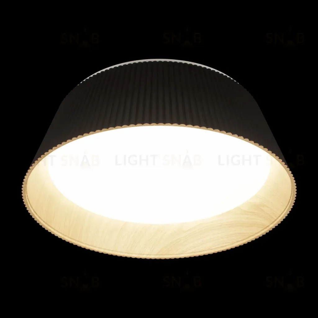 Потолочный светильник Loft IT Evans 10224 Black 10224 Black