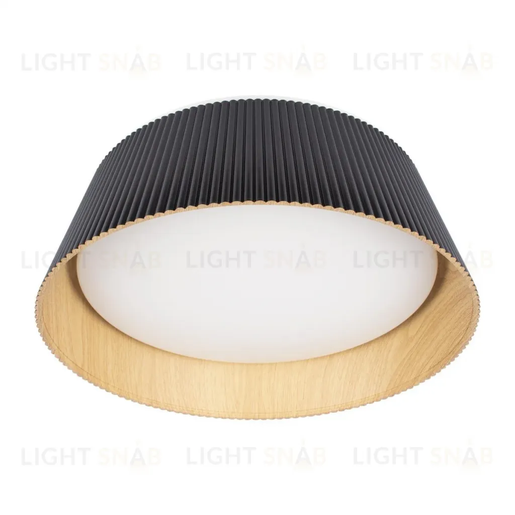 Потолочный светильник Loft IT Evans 10224 Black 10224 Black