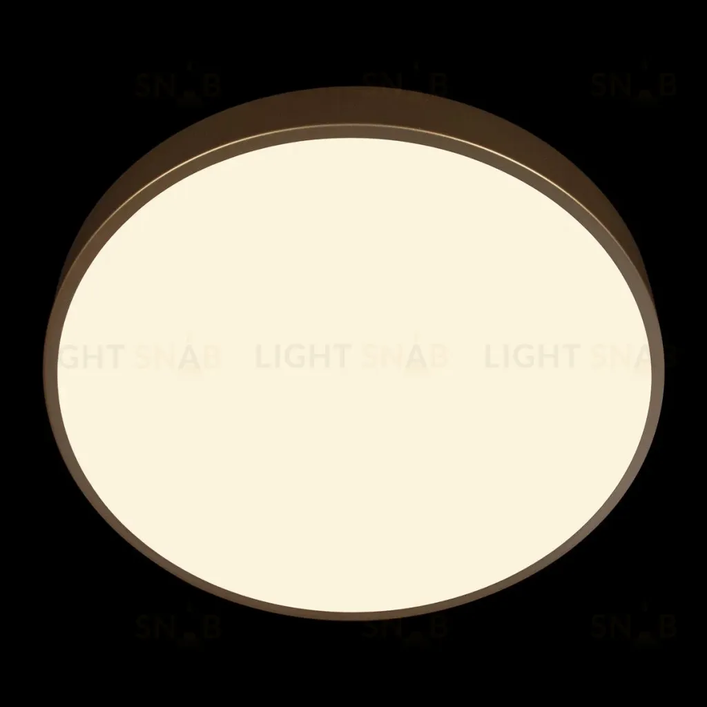 Потолочный светильник Loft IT Flims 10228/A 10228/A