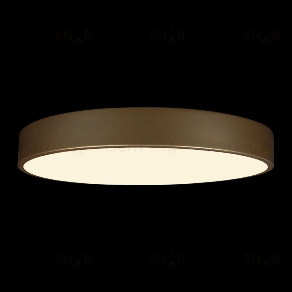 Потолочный светильник Loft IT Flims 10228/A 10228/A