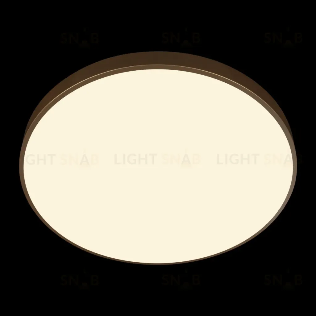 Потолочный светильник Loft IT Flims 10228/B 10228/B