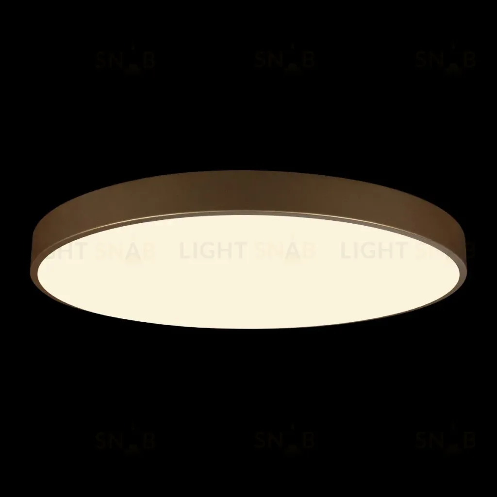 Потолочный светильник Loft IT Flims 10228/B 10228/B