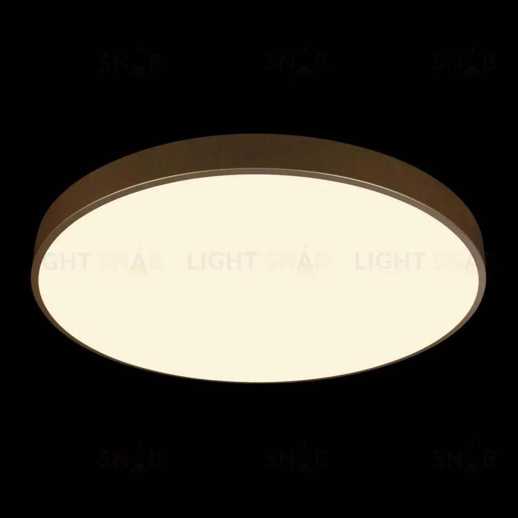 Потолочный светильник Loft IT Flims 10228/B 10228/B
