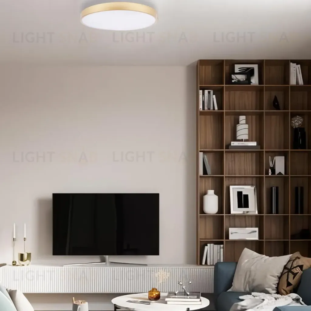 Потолочный светильник Loft IT Flims 10228/B 10228/B