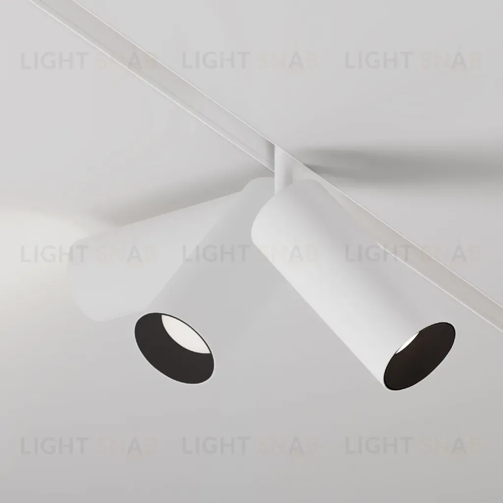 Трековый магнитный светильник Maytoni Focus LED TR032-4-20W3K-S-DS-W TR032-4-20W3K-S-DS-W