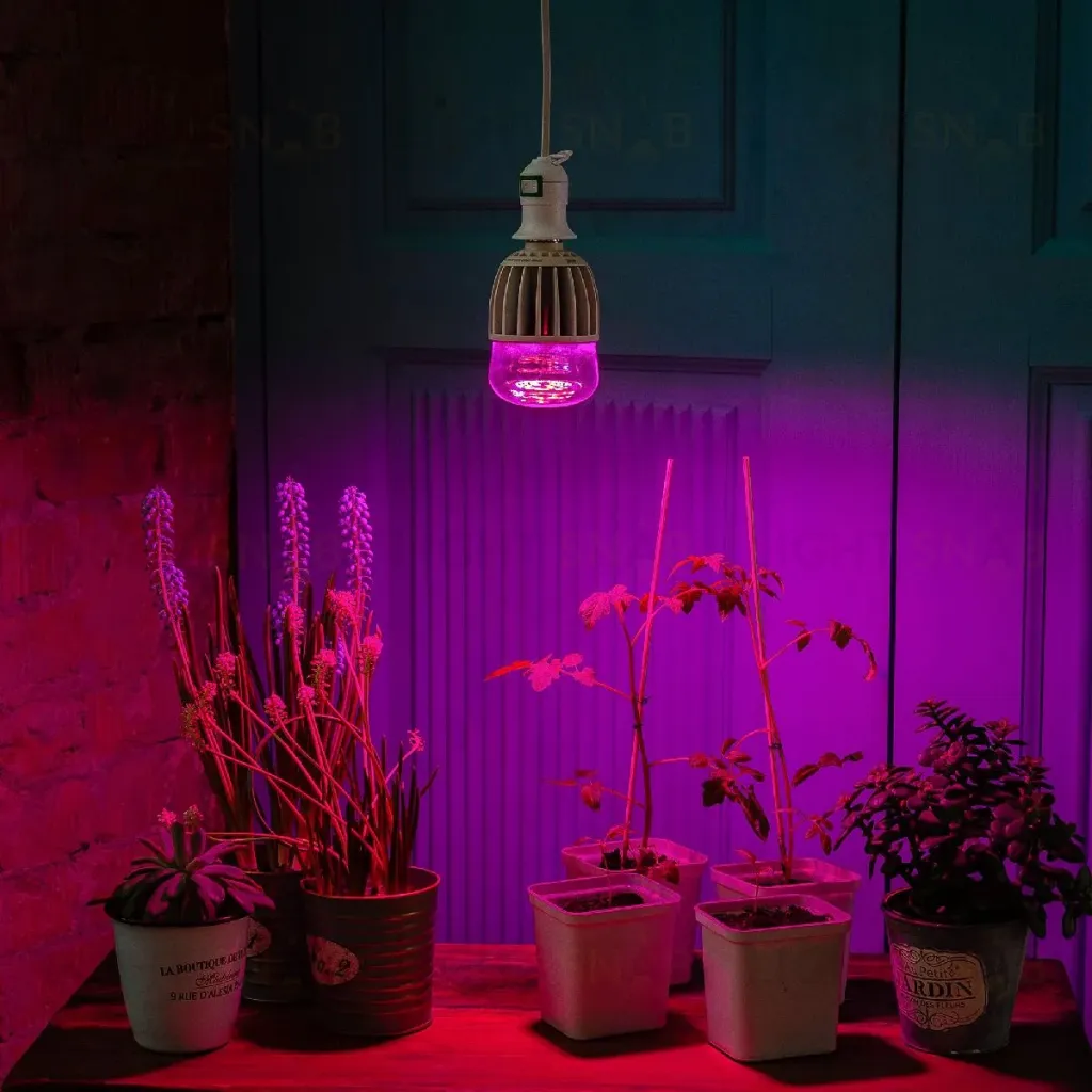 Лампа светодиодная для растений (11098) Uniel E27 20W прозрачная LED-M80-20W/SP/E27/CL ALS55WH LED-M80-20W/SP/E27/CL ALS55WH картон