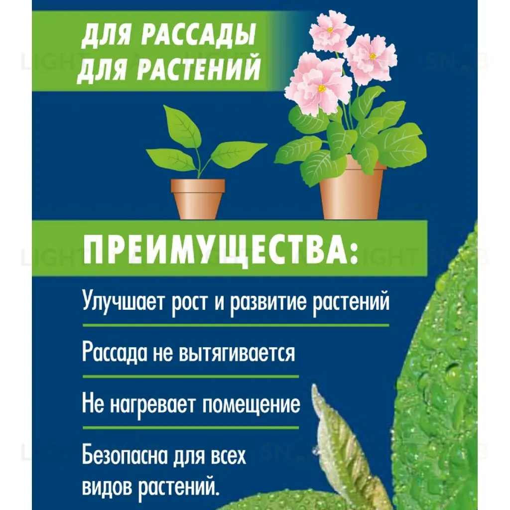 Лампа светодиодная для растений (11098) Uniel E27 20W прозрачная LED-M80-20W/SP/E27/CL ALS55WH LED-M80-20W/SP/E27/CL ALS55WH картон
