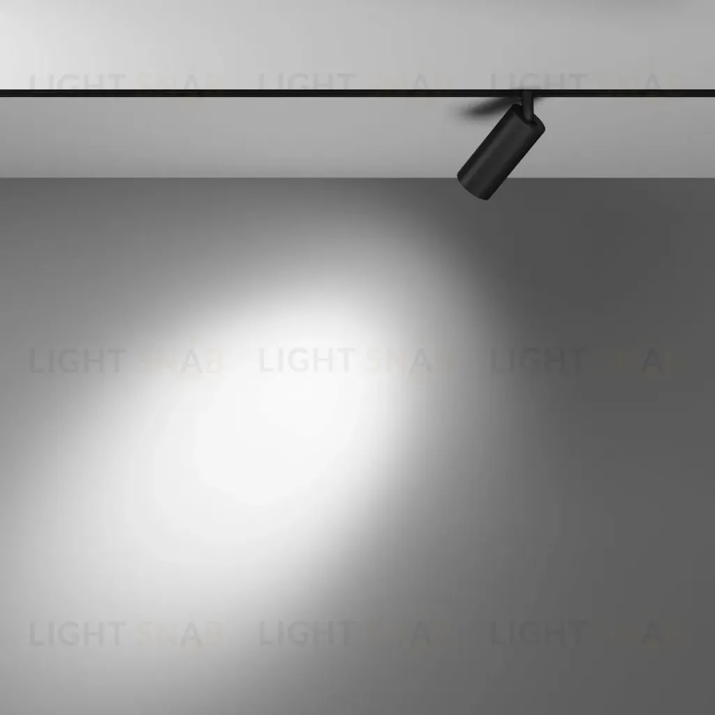 Трековый магнитный светильник Maytoni Focus LED TR032-4-5WTW-S-DD-B TR032-4-5WTW-S-DD-B