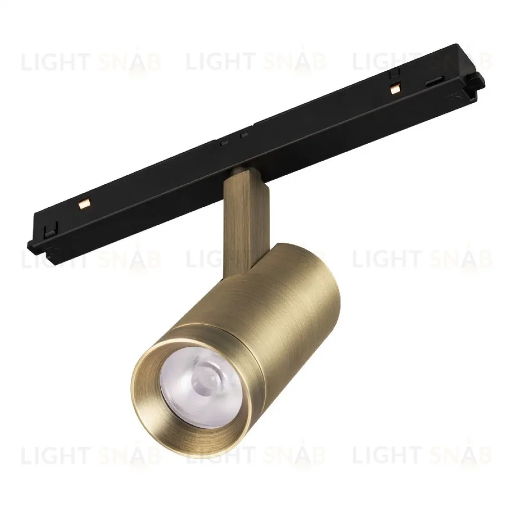 Трековый магнитный светильник Arlight MAG-ORIENT-SPOT-R45-12W Day4000 (BR, 24 deg, 48V) 042259 042259
