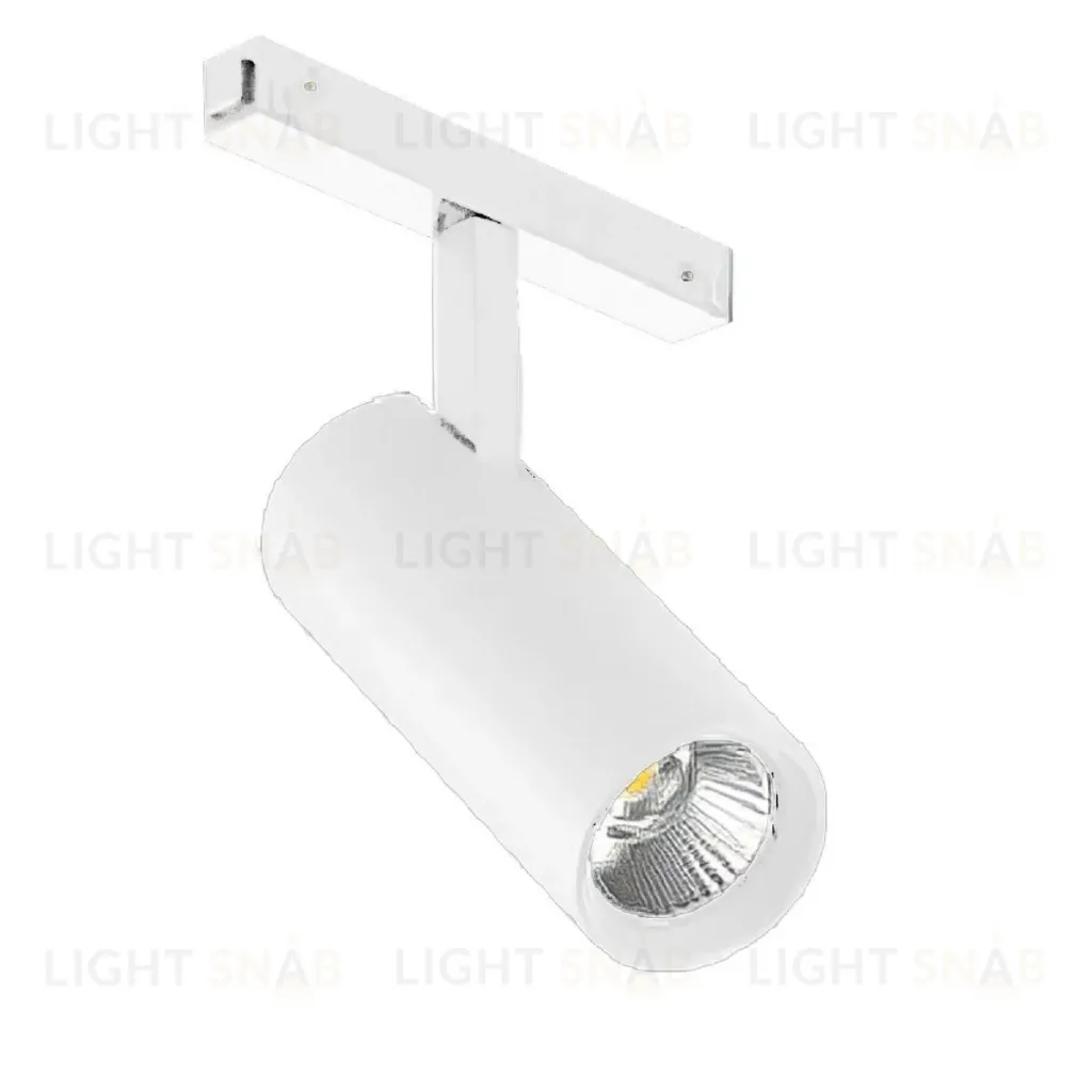 Трековый магнитный светильник Arlight MAG-VIBE-SPOT-R55-18W Day4000-MIX (WH, 24 deg, 48V, DALI) 045006 045006
