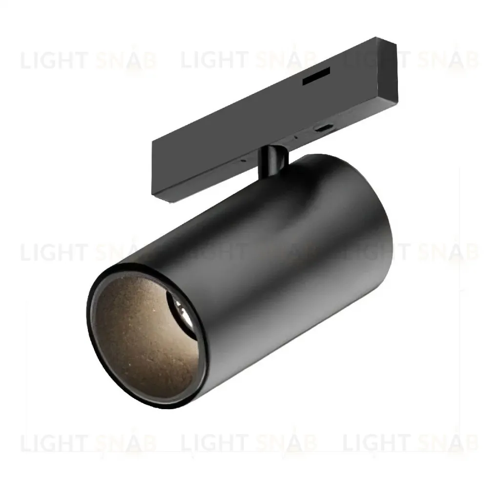 Трековый магнитный светильник Arlight MAG-MICROCOSM-SPOT-R45-9W Day4000 (BK, 36 deg, 24V) 043255 043255