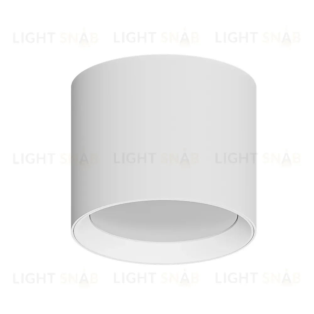 Накладной светильники Arte Lamp Intercrus A5548PL-1WH A5548PL-1WH