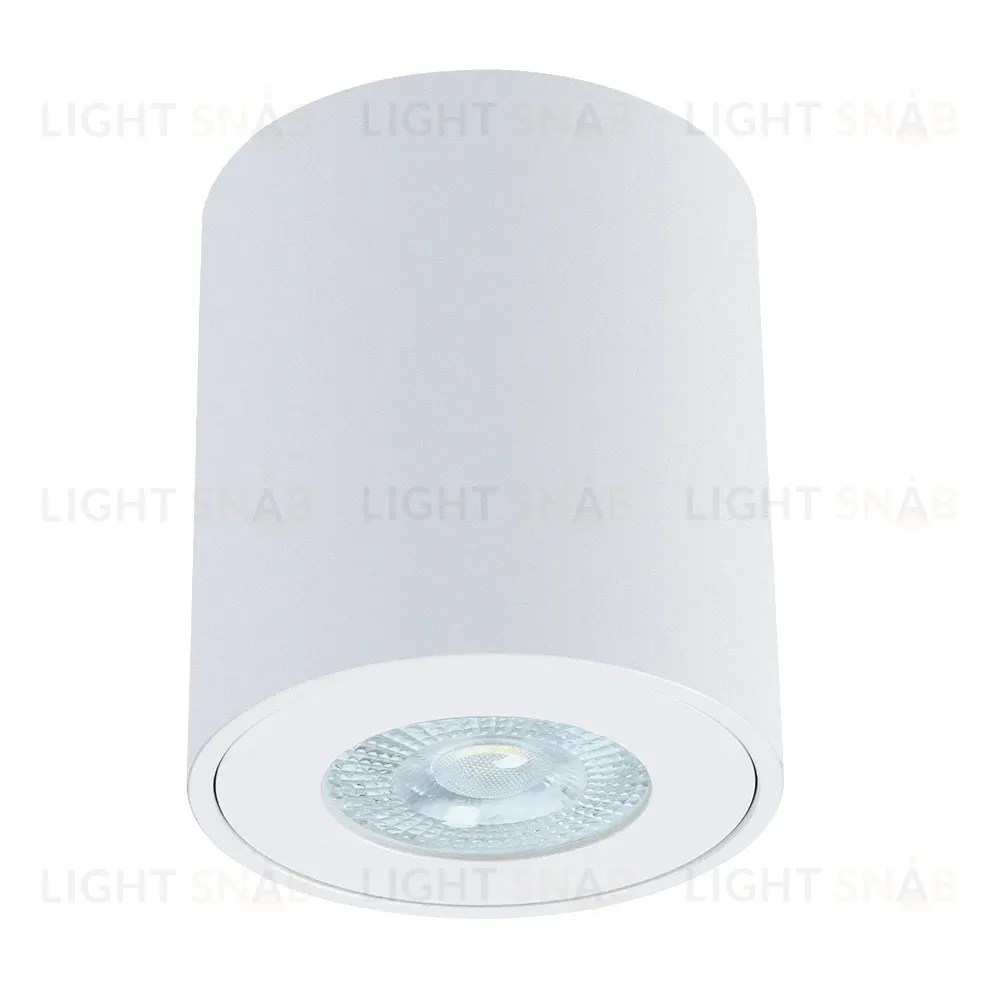 Накладной светильники Arte Lamp Tino A1469PL-1WH A1469PL-1WH