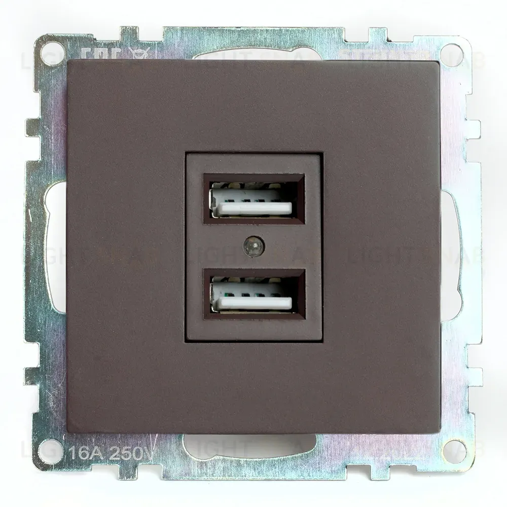 Розетка USB 2-местная Stekker Катрин GLS10-7115-04 49027 49027