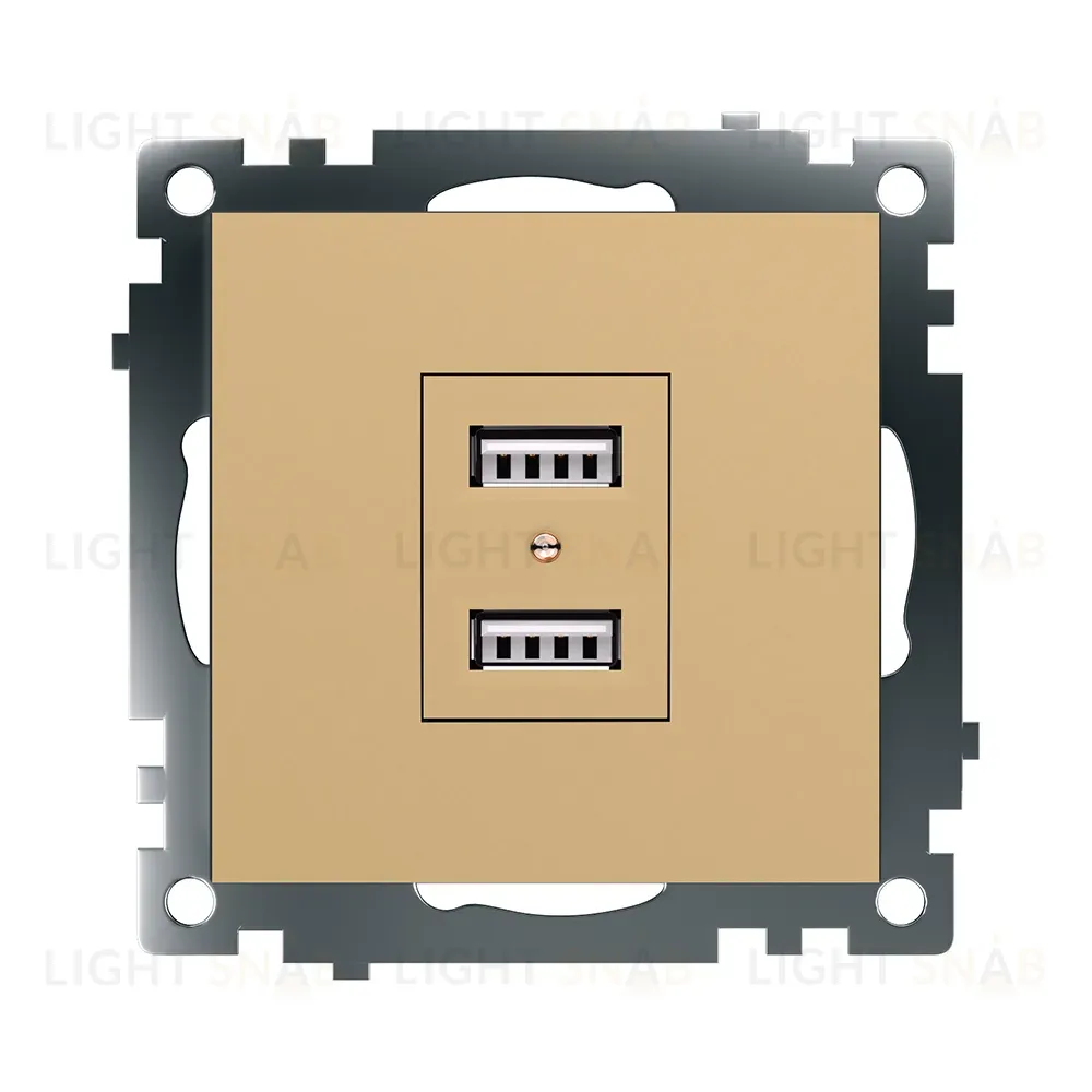Розетка 2-местная USB Stekker Катрин GLS10-7115-08 49229 49229