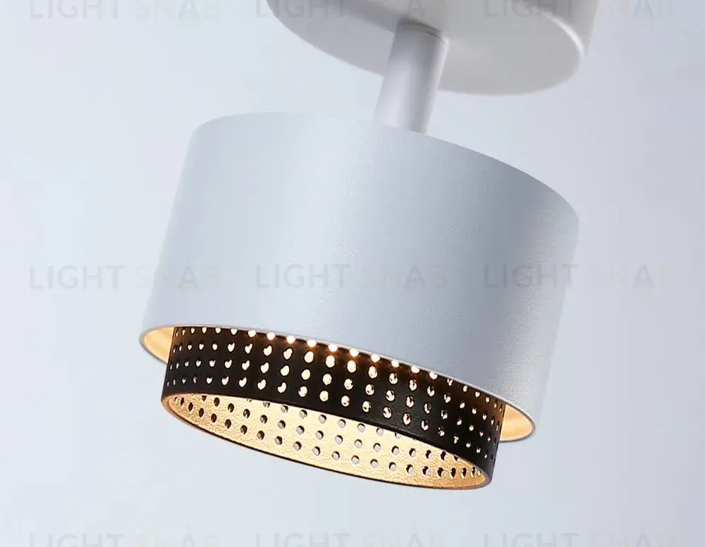Спот Ambrella Light Techno family TN71279 TN71279