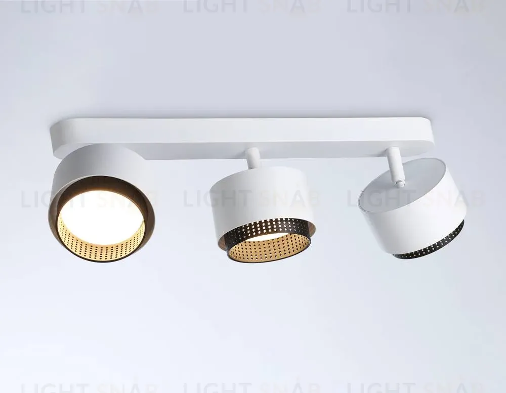 Спот Ambrella Light Techno family TN71291 TN71291