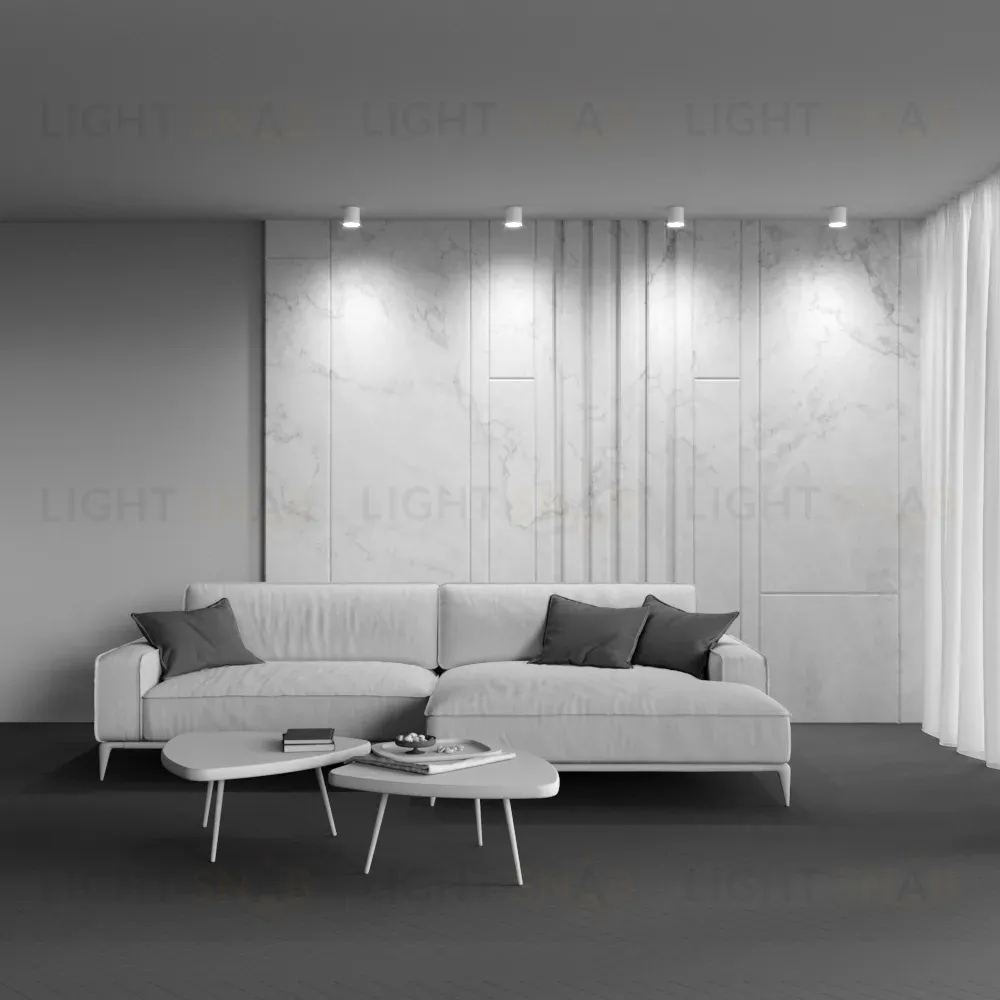 Накладной светильник Maytoni Polar C088CL-GX53-W C088CL-GX53-W