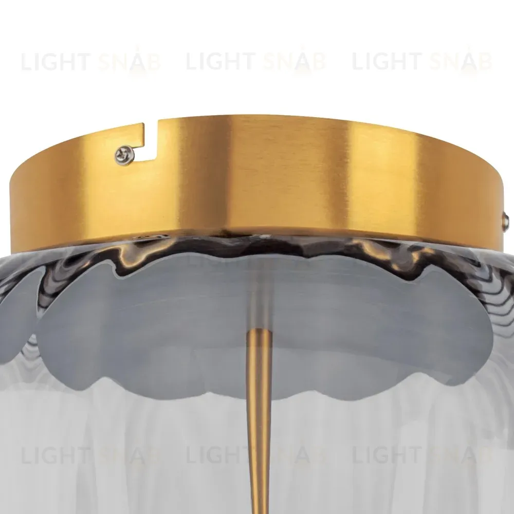 Потолочный светильник Lightstar Celesta 809061 809061