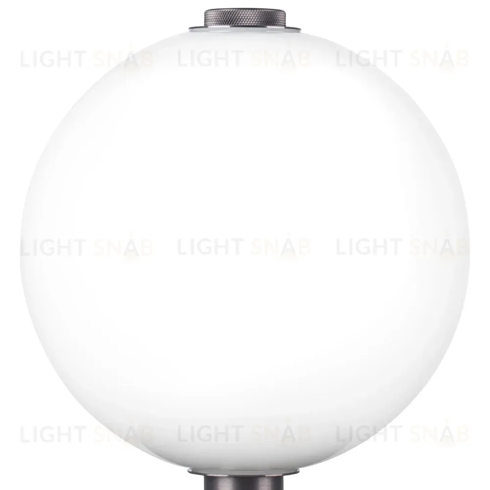 Настольная лампа Lightstar Colore 805906 805906