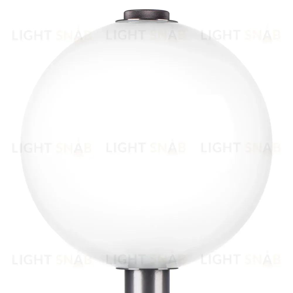 Настольная лампа Lightstar Colore 805916 805916