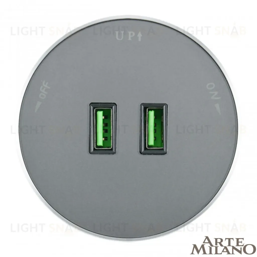 Трековая розетка Arte Milano Am-track-sockets 380011TS/USBx2 Grey 380011TS/USBx2 Grey