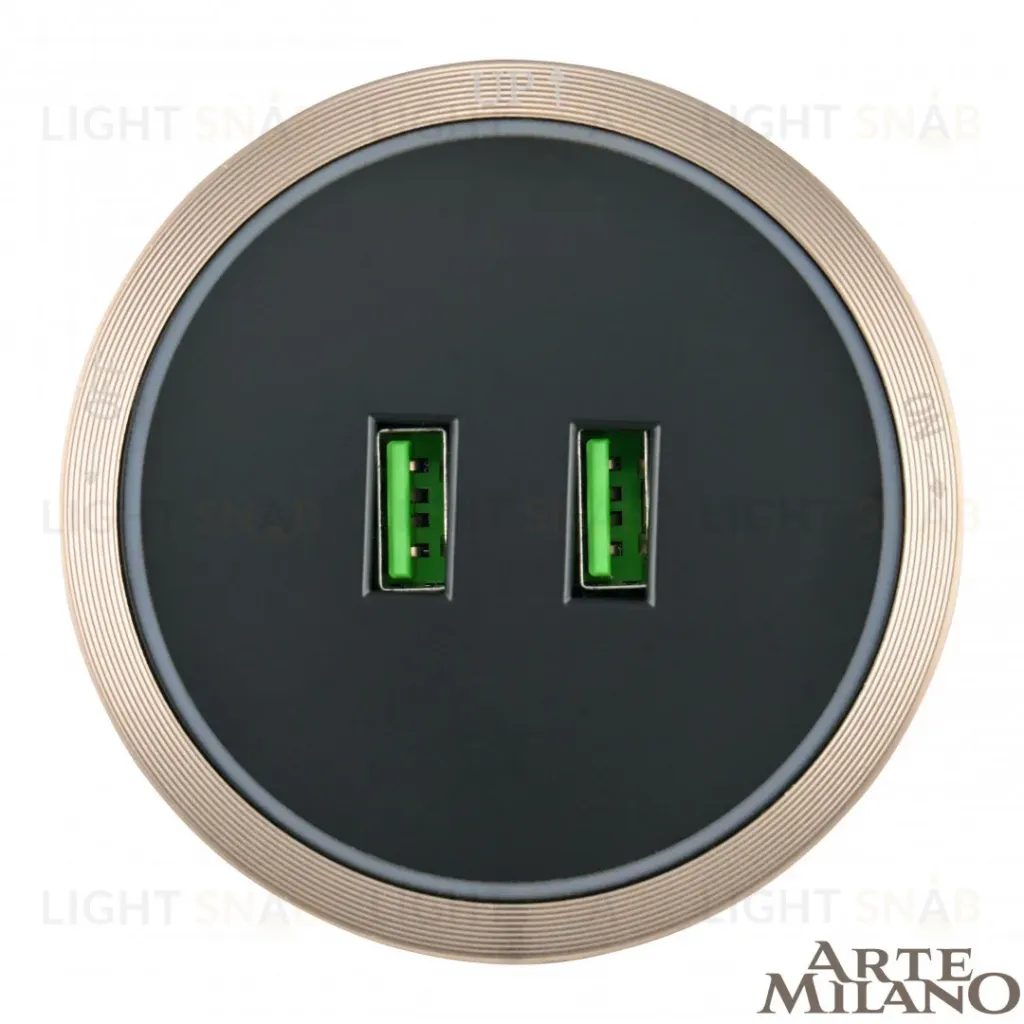 Трековая розетка Arte Milano Am-track-sockets 380066TS LED/USBx2 Gold 380066TS LED/USBx2 Gold