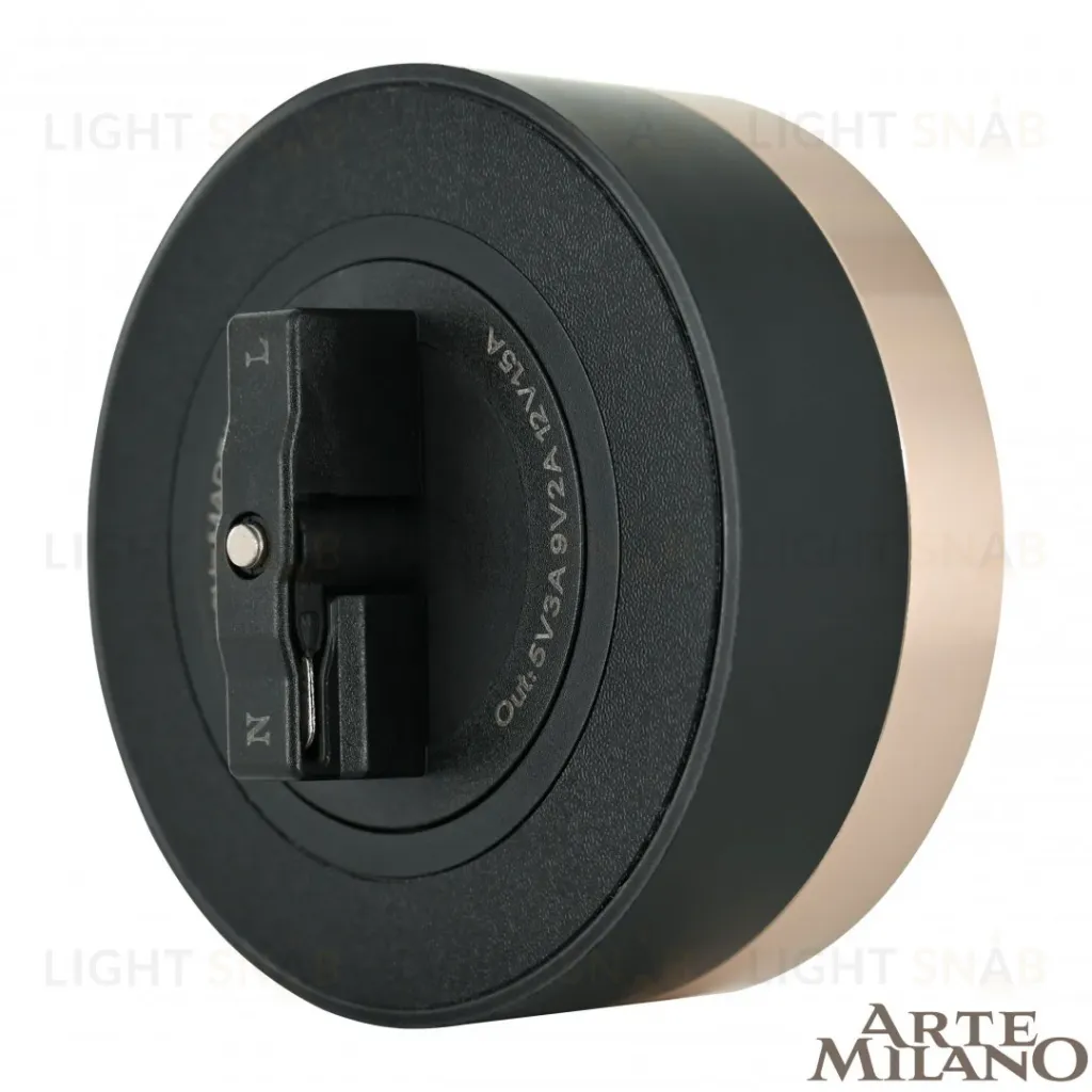 Трековая розетка Arte Milano Am-track-sockets 380066TS LED/USB-Type-C Gold 380066TS LED/USB-Type-C Gold