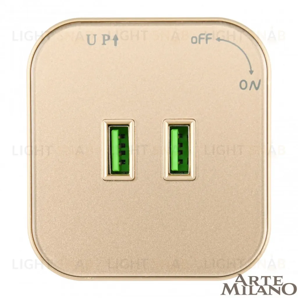 Трековая розетка Arte Milano Am-track-sockets 380022TS/USBx2 Gold 380022TS/USBx2 Gold