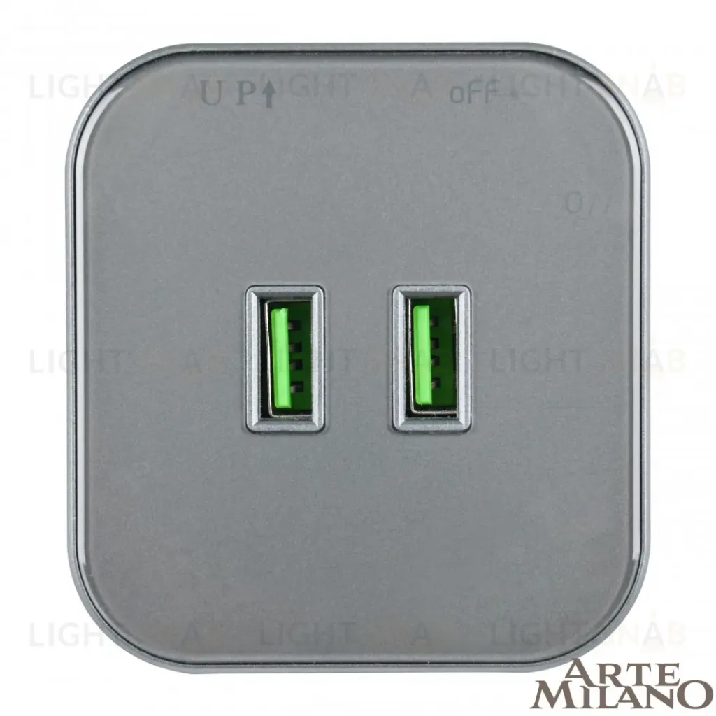 Трековая розетка Arte Milano Am-track-sockets 380022TS/USBx2 Grey 380022TS/USBx2 Grey