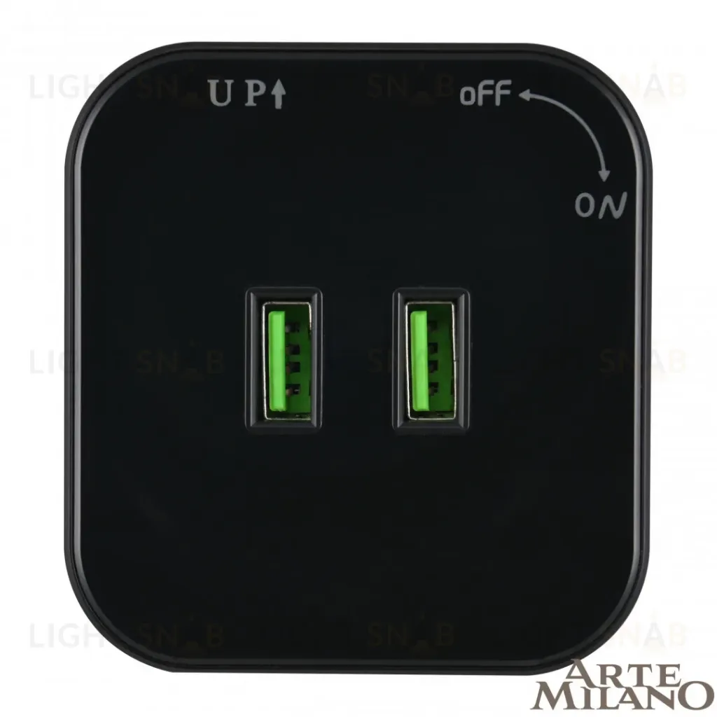 Трековая розетка Arte Milano Am-track-sockets 380022TS/USBx2 Black 380022TS/USBx2 Black