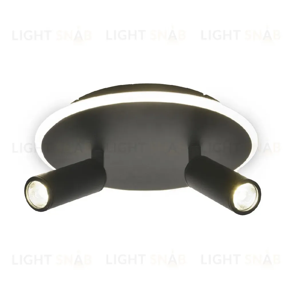 Настенно-потолочный светильник Escada 20046SMA/02LED BK 20046SMA/02LED BK