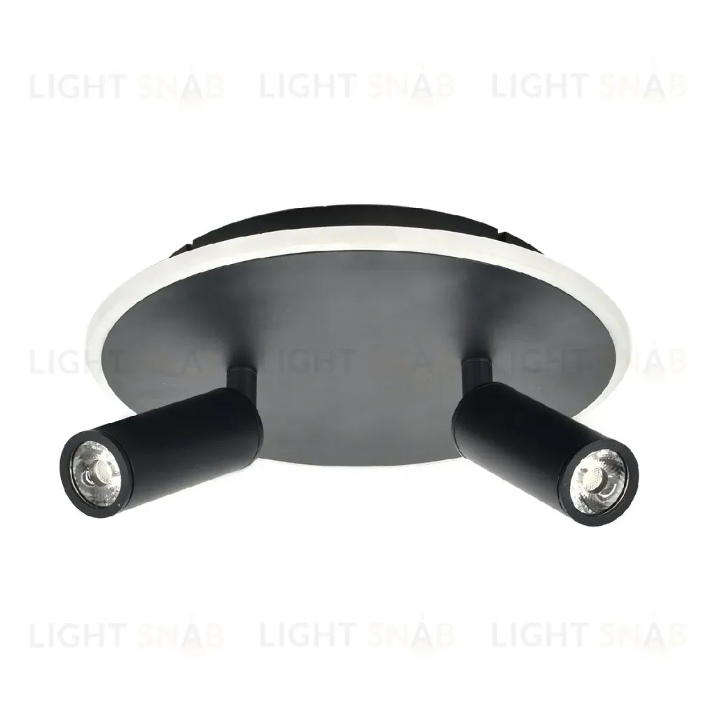 Настенно-потолочный светильник Escada 20046SMA/02LED BK 20046SMA/02LED BK