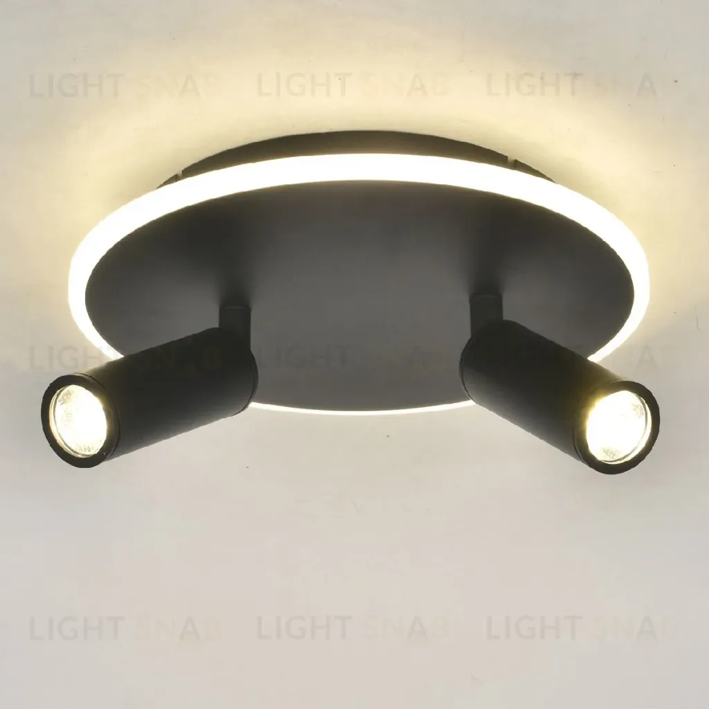 Настенно-потолочный светильник Escada 20046SMA/02LED BK 20046SMA/02LED BK