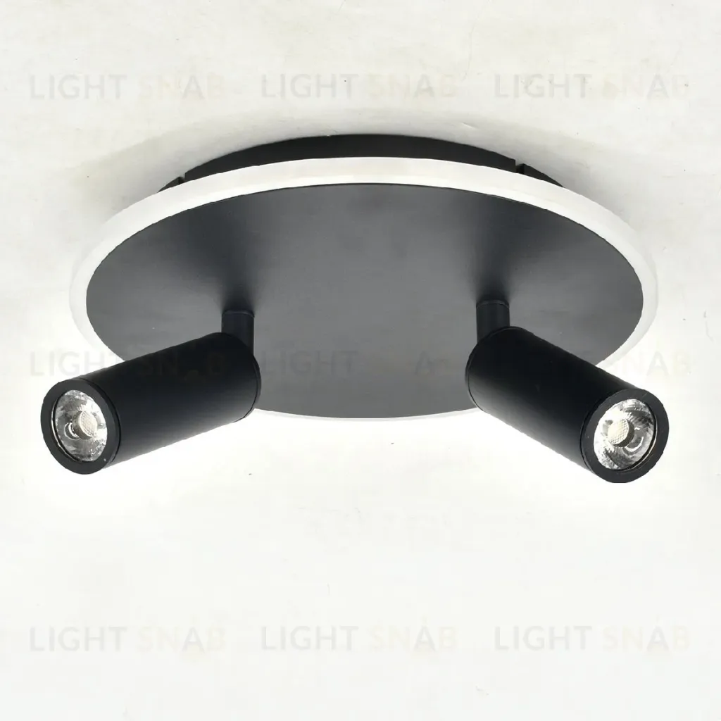 Настенно-потолочный светильник Escada 20046SMA/02LED BK 20046SMA/02LED BK