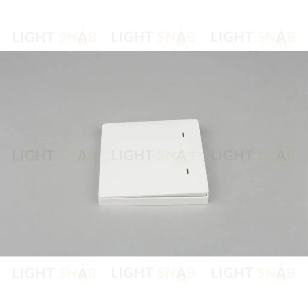 Выключатель двухклавишный Aployt Magnetic track 220 APL.0190.00.02 APL.0190.00.02