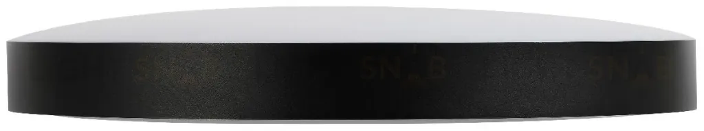 Потолочный светильник Эра Relict 48 Pult SPB-6-60-RC BK Б0059497 Б0059497
