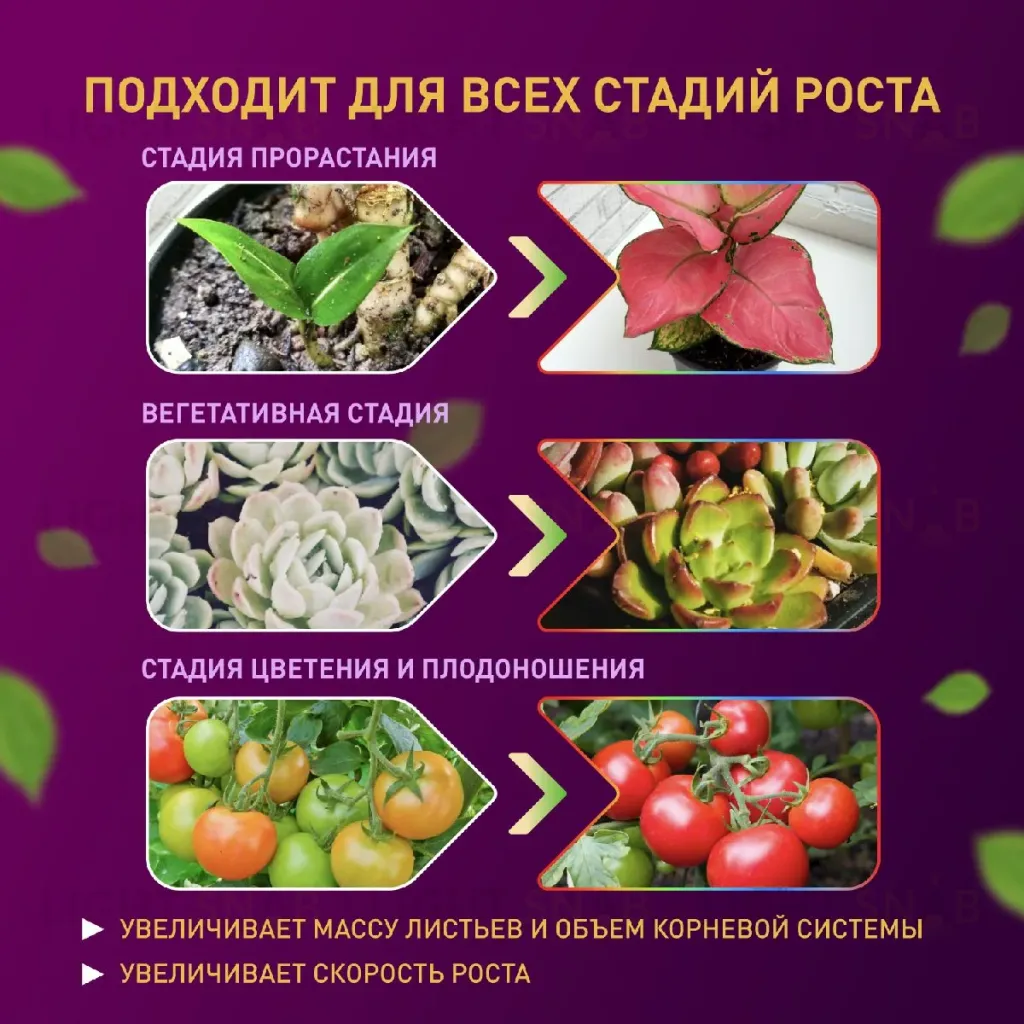 Светодиодная лента для растений Эра 18Вт 1400K 2м IP65 FITO-Strip Light-RB-2m красно-синего спектра Б0057282 Б0057282