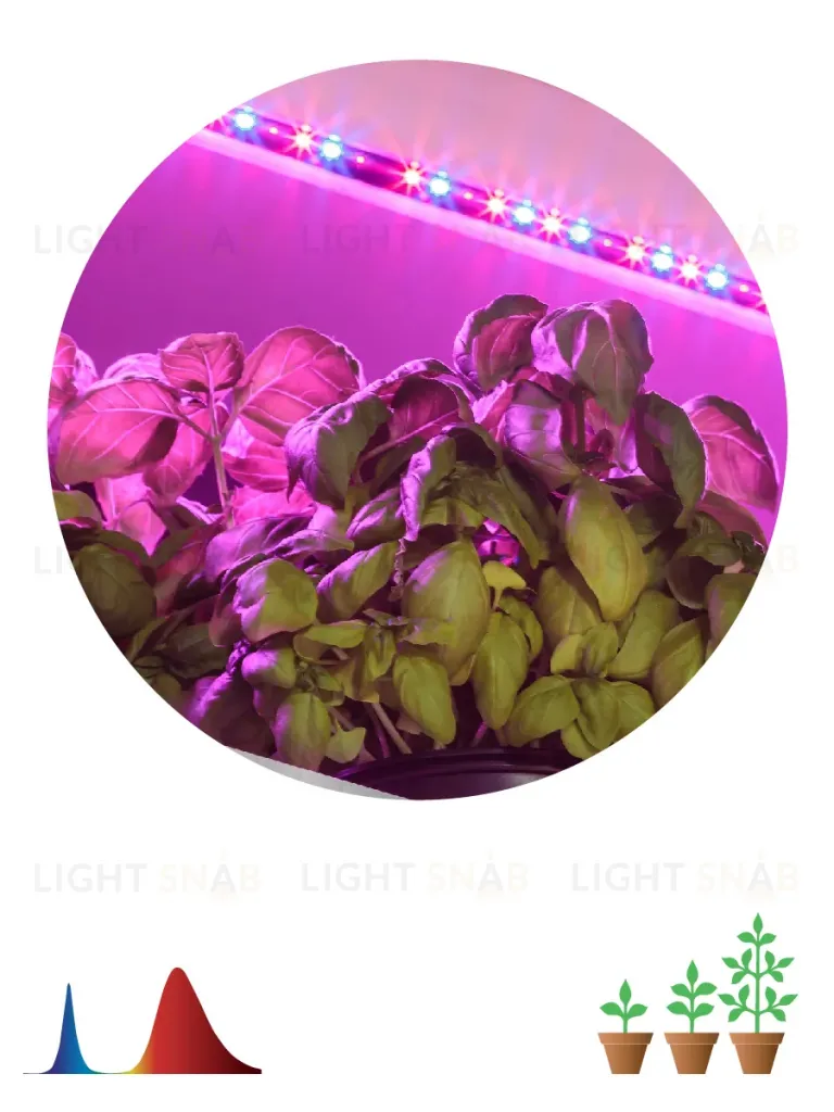 Светодиодная лента для растений Эра 18Вт 1400K 2м IP65 FITO-Strip Light-RB-2m красно-синего спектра Б0057282 Б0057282